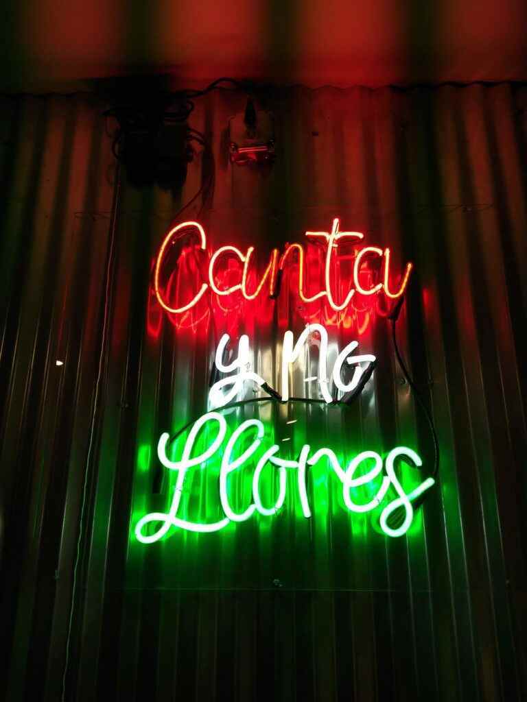 Neon sign. Sing, don't cry